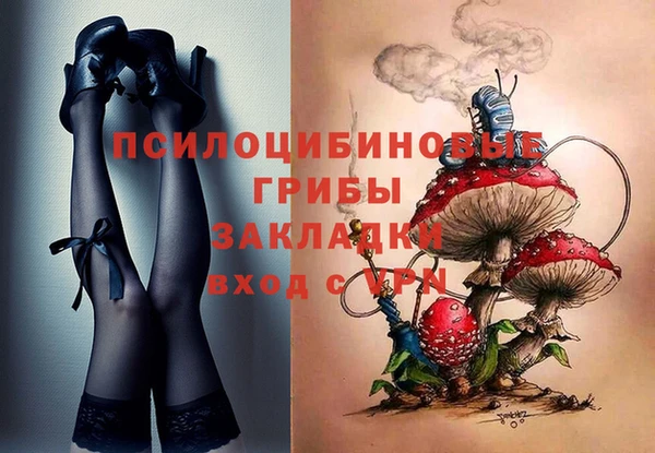 прущая мука Арсеньев