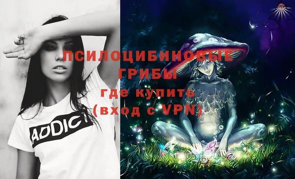 гидра Аркадак