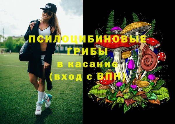гидра Аркадак