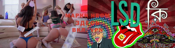 прущая мука Арсеньев