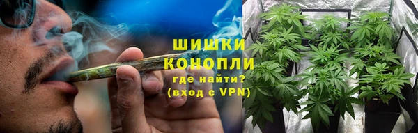 гидра Аркадак