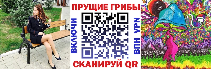 Купить где  Михайловка  Галлюциногенные грибы Psilocybine cubensis 